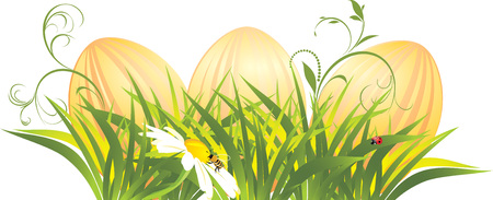 Easter eggs in the grass with chamomileのイラスト素材