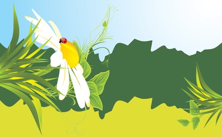 Chamomile and ladybird among grass. Bannerのイラスト素材