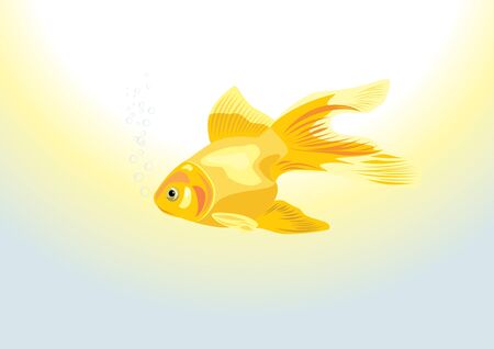 Goldfishのイラスト素材