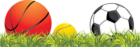 Sporting balls in grassのイラスト素材