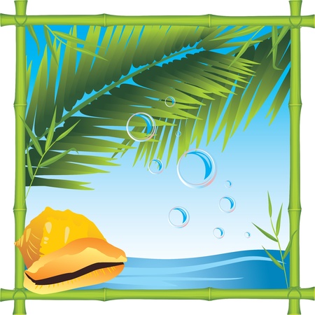 Bamboo frame with shell and palm branches. Seascapeのイラスト素材