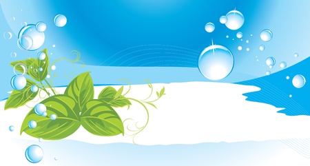 Drops and sprigs on the abstract blue background. Bannerのイラスト素材