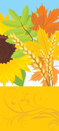 Abstract autumn banner with leaves, sunflower and wheat earsのイラスト素材
