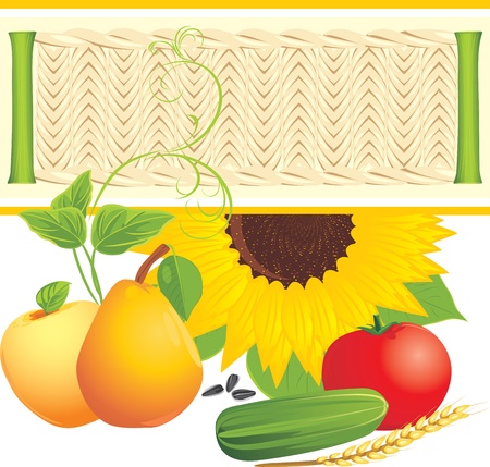 Food ingredientsのイラスト素材