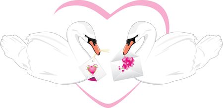 Pair of white swans with festive cards in beaksのイラスト素材