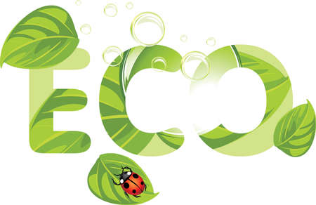 Leaves and ladybird. Ecology conceptのイラスト素材