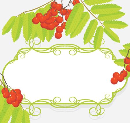 Decorative frame with rowan branchesのイラスト素材
