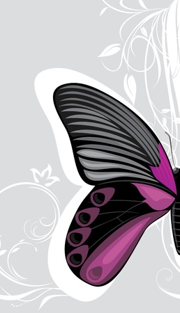 Butterfly on the decorative gray backgroundのイラスト素材