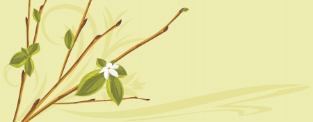Blooming sprig on the abstract backgroundのイラスト素材