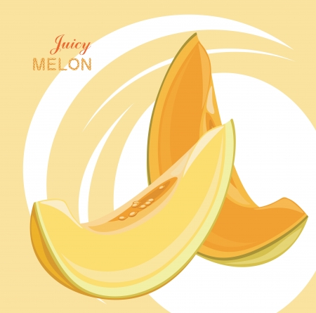 Slices of juicy melon on the abstract backgroundのイラスト素材