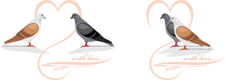 Two loving dovesのイラスト素材