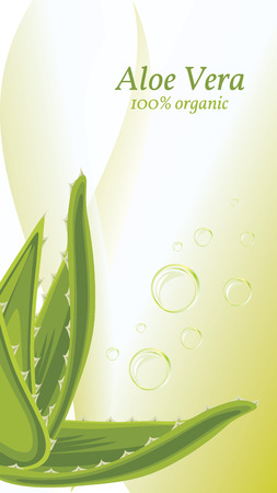 Aloe vera on the abstract background with bubblesのイラスト素材