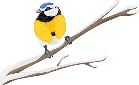 Blue tit sitting on a branch treeのイラスト素材