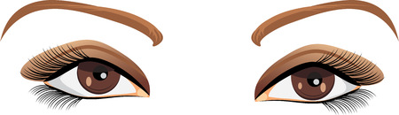 Brown female eyesのイラスト素材