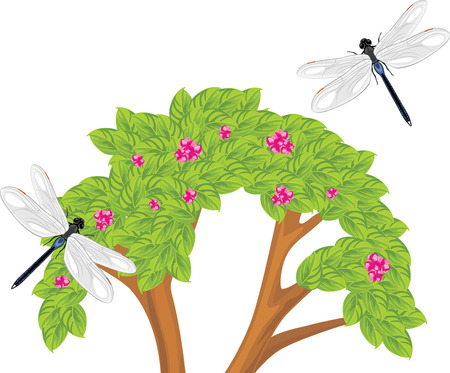 Dragonfly flying over the flowering bushのイラスト素材