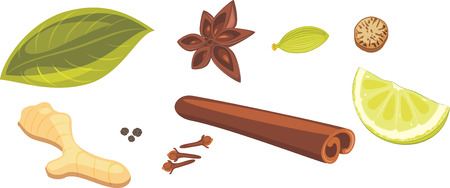 Spices for masala teaのイラスト素材