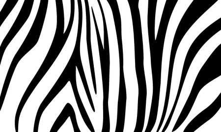Zebra decorative background for design.のイラスト素材