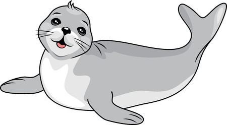 Funny baby sealのイラスト素材