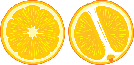 Two juicy orange slicesのイラスト素材