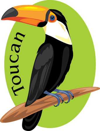 Proud toucan. Symbol for designのイラスト素材