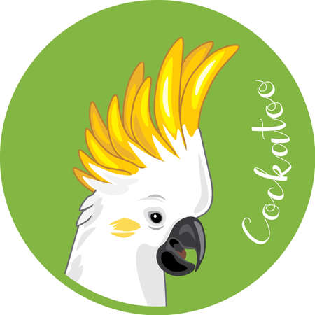 Cockatoo head. Sticker for designのイラスト素材