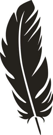 Black feather isolated on white. Vectorのイラスト素材