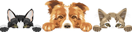 Cute peeking Border Collie dog and two catsのイラスト素材
