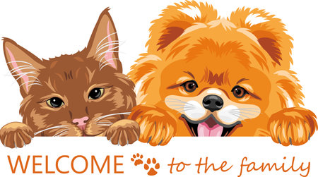 Peeking ginger cat and Pomeranian dog. Welcome to the familyのイラスト素材