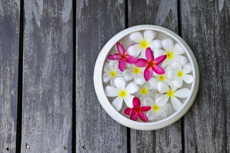 flower spaの写真素材