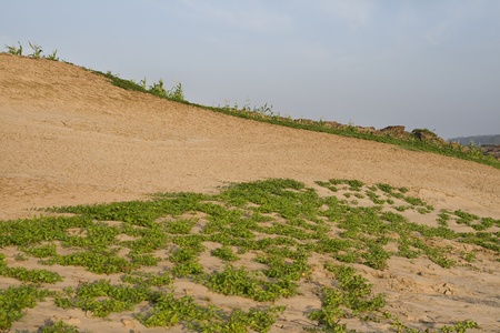 Landscape Desert with skyの写真素材