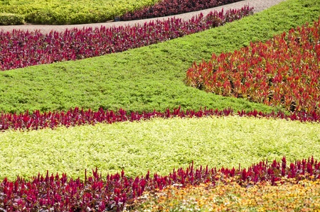 Beautiful graden in Thailandの写真素材