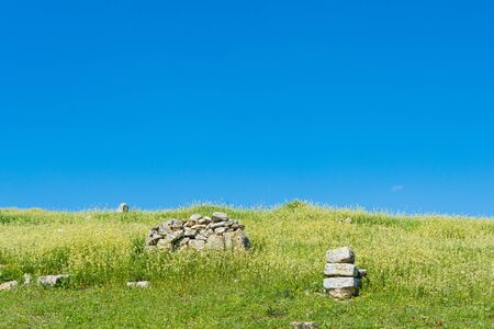 Beautiful natural green field with blue heavenの写真素材