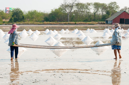 CHONBURI, THAILAND - MAR 11: Unidentified workers carrying salt at salt farm on March 07, 2010 in Chonburi Thailand. Chonburi is the main industrial area in Thailandのeditorial素材