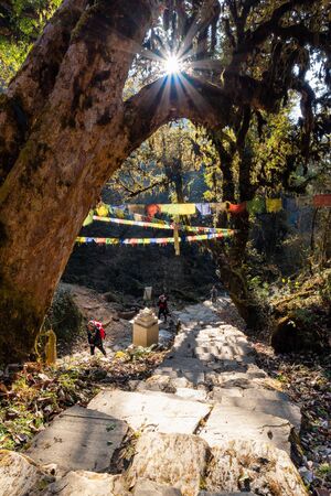 NEPAL-DECEMBER23, 2015:Tourists trekking along Pooh Hill trekking route with nature forest...