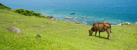 elevated scenic view from a mountain top over the coastline and seaの写真素材