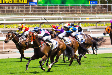 Horse Race Runners and riders during a raceのeditorial素材