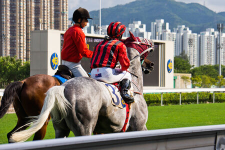 Horse Race Runners and riders during a raceのeditorial素材