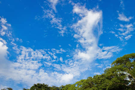 Ohorikoenの写真素材