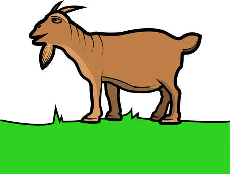 Vector Of Goat  Brown Color, Green Grass, and white Background.  Perfect For Color Learning,  background, presentation,  Knowledge, Education, advertisement product and mock up.のイラスト素材