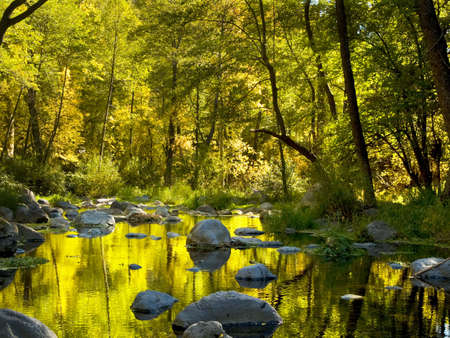 A view of Ok Creek, Sedona, Arizona in the upper canyon in the fallの写真素材