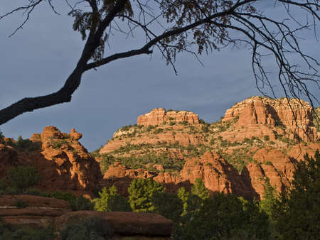 Late afternoon view of red rocksの写真素材