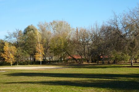 morning park view wth shadow's treeの写真素材