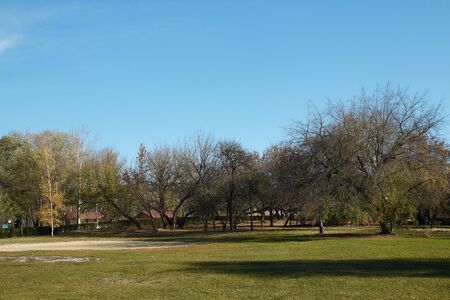 morning park viewの写真素材