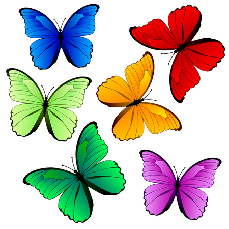Colorful butterfly collection isolated on whiteのイラスト素材