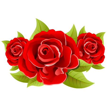 Red roses isolated on whiteのイラスト素材