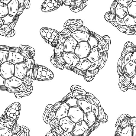 Turtle line art seamless pattern.のイラスト素材