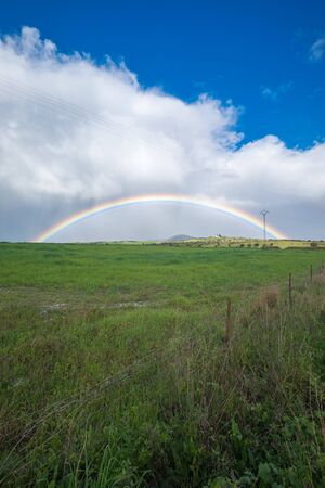 Rainbow in the middle of a green fieldの写真素材