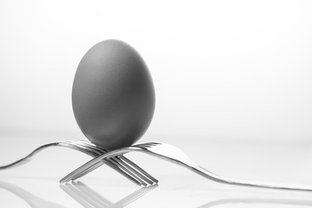 egg in balance with space to place your logoの写真素材