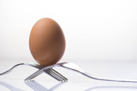 egg in balance with space to place your logoの写真素材
