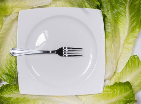 Cutlery on a white dish over a vegetable backgroundの写真素材